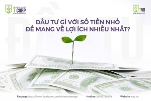 ĐẦU TƯ GÌ VỚI SỐ TIỀN NHỎ ĐỂ MANG VỀ LỢI ÍCH NHIỀU NHẤT?